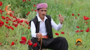 03.06.23  | Keşkûl