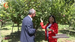 Dengê Xeribiyê | Mêvan  Şêx Tahir