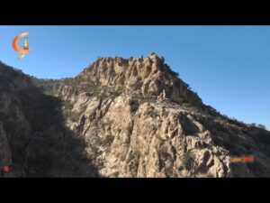 KevneWAR  | 20.11.2025