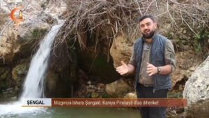 Dosya Taybet |  ŞENGAL |  Mizginiya bihara Şengalê  Kaniya Pîrexayê dîsa diherike