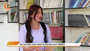 Dema Jin  |   Mêvan Mariye Şengalî