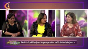 Binevş |  Rêxistin û yekîtiya jinan bingeha parastina maf û destketiyên jinan e